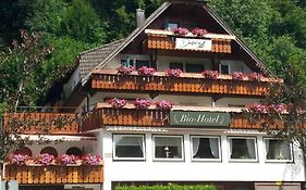 Decker'S Bio Hotel Zum Lamm